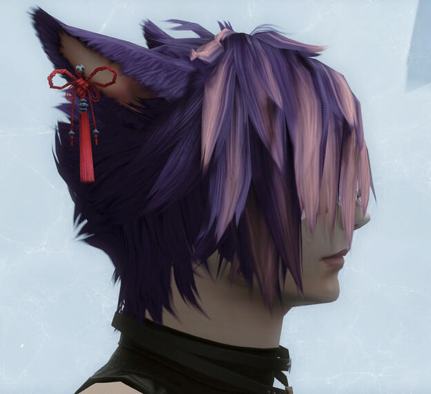 Hair / Earring